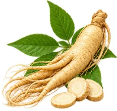 {{OFFER_NAME}} — Ginseng in the composition